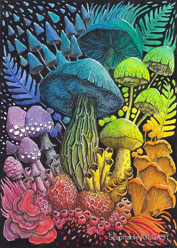 Rainbow Mushroom Composition 3 Watercolor Painting By Stephanie   Flat,800x800,075,f.u5 