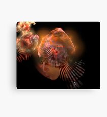 Asian Apophysis Canvas Print