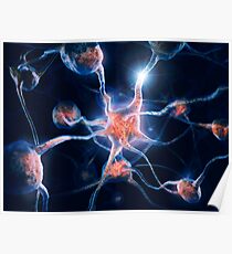 Neurons and neural connections Brain cells 3D illustration art photo print Poster