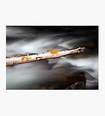 Last Chance Photographic Print