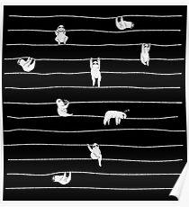 Sloth Stripe Poster