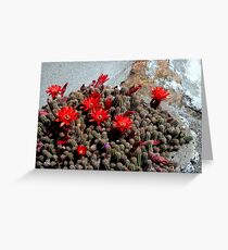 Yesterday, today, tomorrow Greeting Card