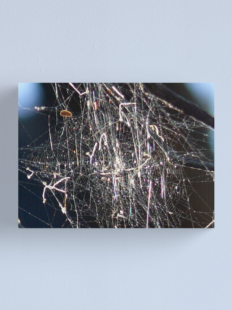 Alternate view of Spider Gone Mad Canvas Print