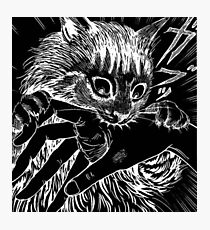 Cat Junji Ito Bite Photographic Print