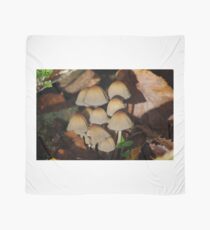 Toadstools Scarf