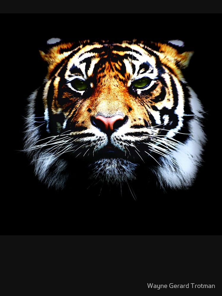 Tiger by redmoondragon