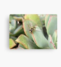 landing successful Metal Print