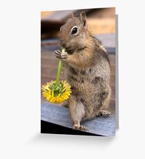 CHIPPY Greeting Card