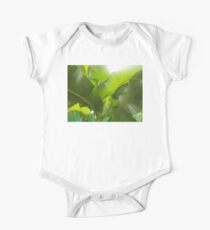 GreenLeaf Layer leaf One Piece - Short Sleeve