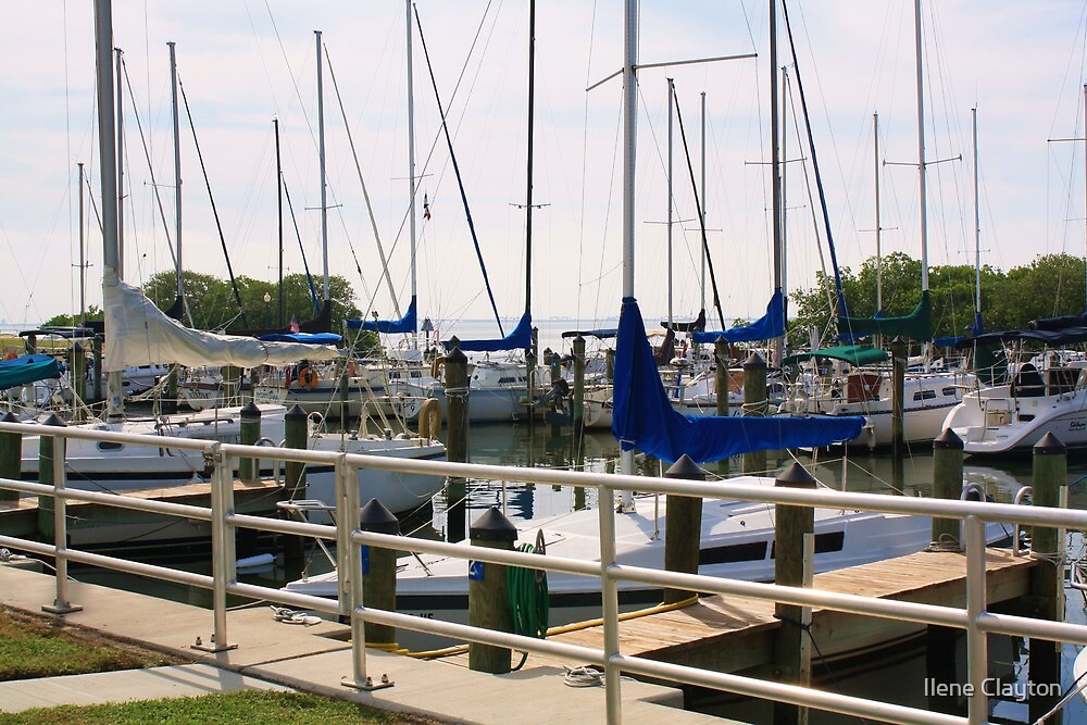 "Safety Harbor Marina " by Ilene Clayton Redbubble