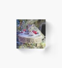 wild mouse eating at a tiny table Acrylic Block
