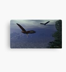 Flight Canvas Print