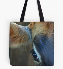 shades of brown Tote Bag