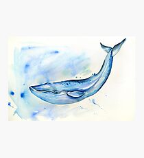 Lámina fotográfica Ballena azul