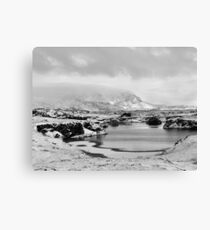 Snowfall at Lake Myvatn Canvas Print