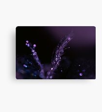 Fibre Optic Canvas Print