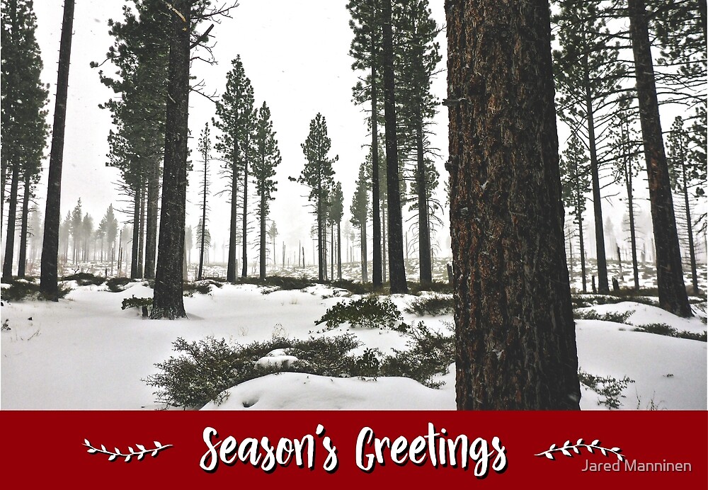 Winter Forest Holiday Card by Jared Manninen