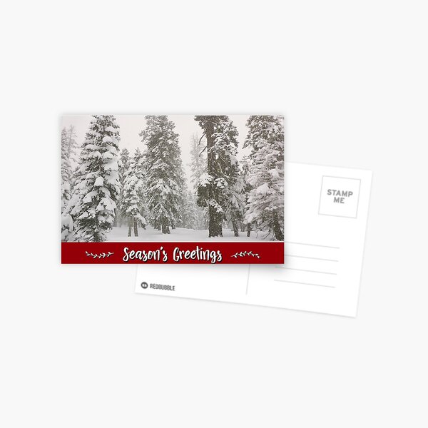 Snowy Forest Holiday Card Postcard