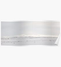 White Poster