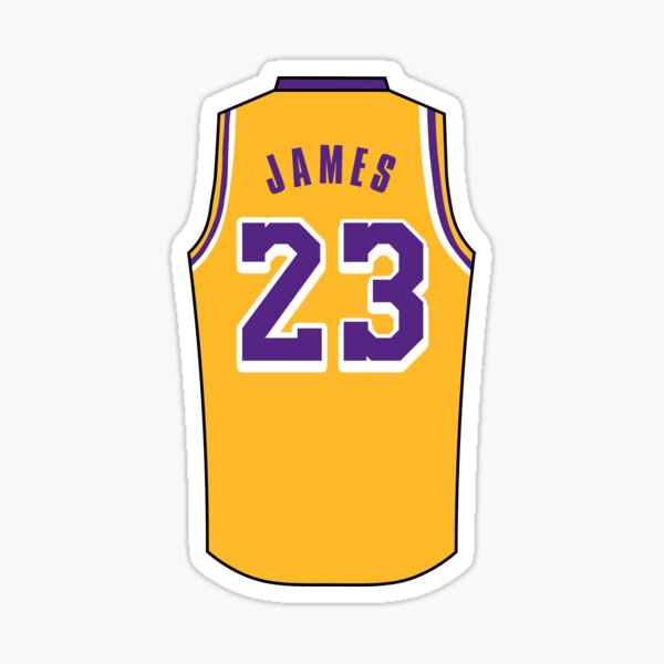 lebron james jersey youth small