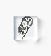 Snowy owl brush and ink Acrylic Block