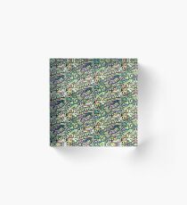 Nichola Karma play Acrylic Block