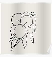 Póster MATISSE