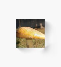 Peaked Cap Agaric Acrylic Block