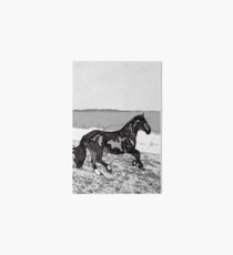 Caballo Chileno (Equus ferus caballus) am Strand Galeriedruck