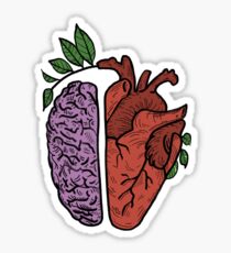 Pegatina Cabeza y corazon