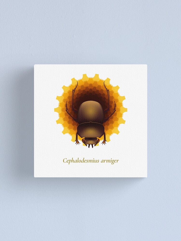 Alternate view of The Circles of Life: Cephalodesmius armiger Canvas Print