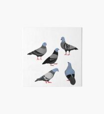 Day 33 of 365 Days of Design Art Board