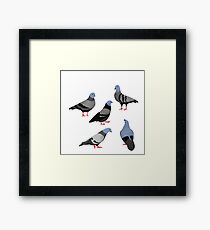 Day 33 of 365 Days of Design Framed Print