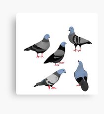 Day 33 of 365 Days of Design Canvas Print