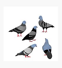 Day 33 of 365 Days of Design Photographic Print