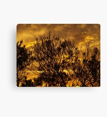 Fire in the sky Canvas Print