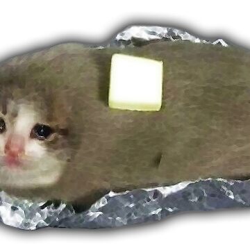 Sad sales butter cat