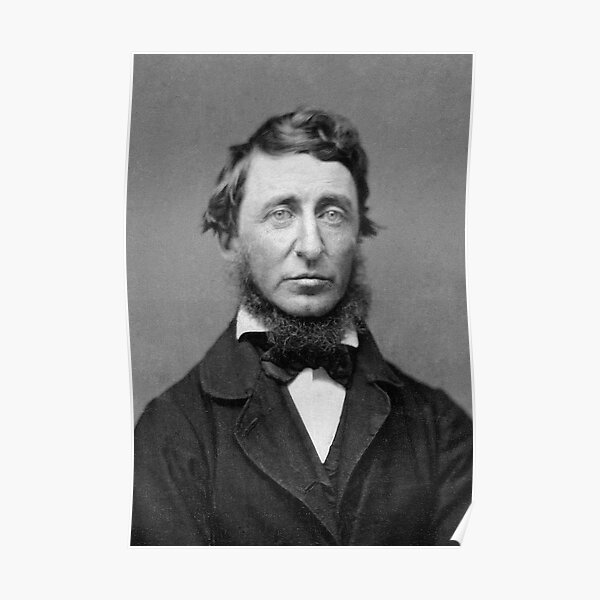 AMERICAN AUTHOR HENRY DAVID THOREAU PORTRAIT 8X10 PHOTO 1856 