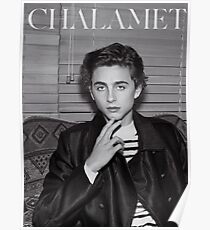 Timothee Chalamet Poster