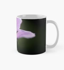 Geranie Tasse (Standard)