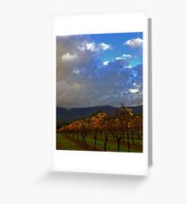 Yarra Valley Vineyard Greeting Card