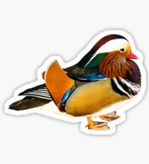 Mandarin Duck Sticker