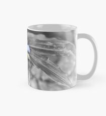 "Little" Tasse (Standard)