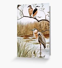Herons Vintage Art Greeting Card