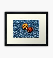 Buggy Buddies Framed Print