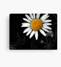 Staggered Canvas Print