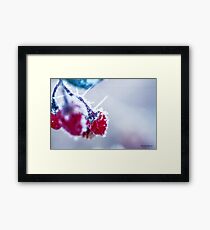 Winters Frostbitten Kiss Framed Print