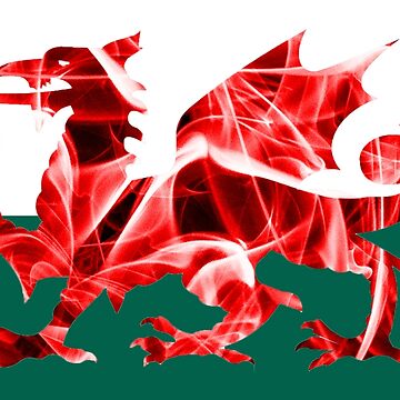 Artwork thumbnail, The Welsh Smoke Dragon by silversnapper1