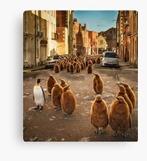 Pinguin Invasion Leinwanddruck