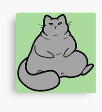 Plump Gray Cat Canvas Print